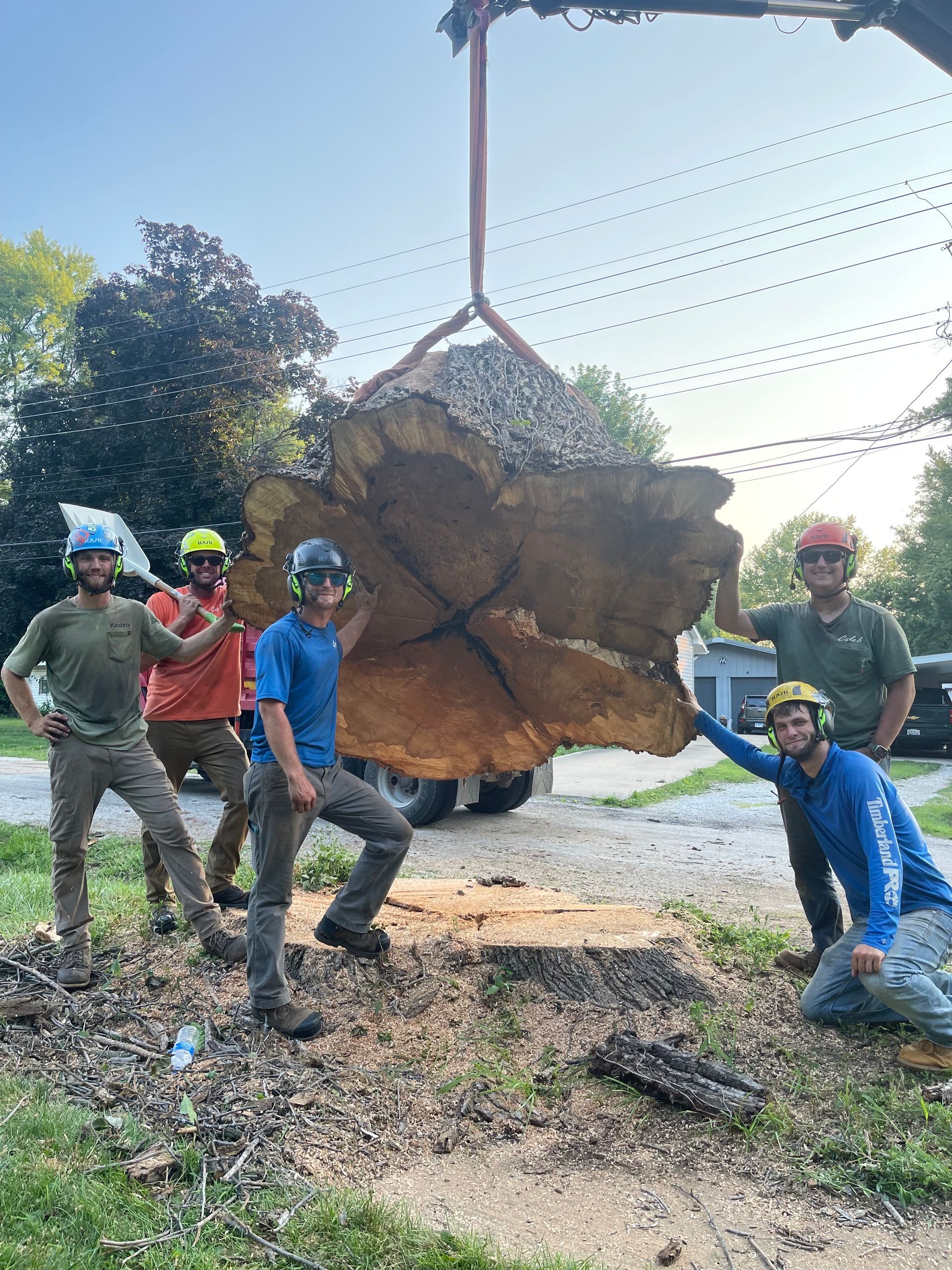 A group of men are standing around a large tree stump.