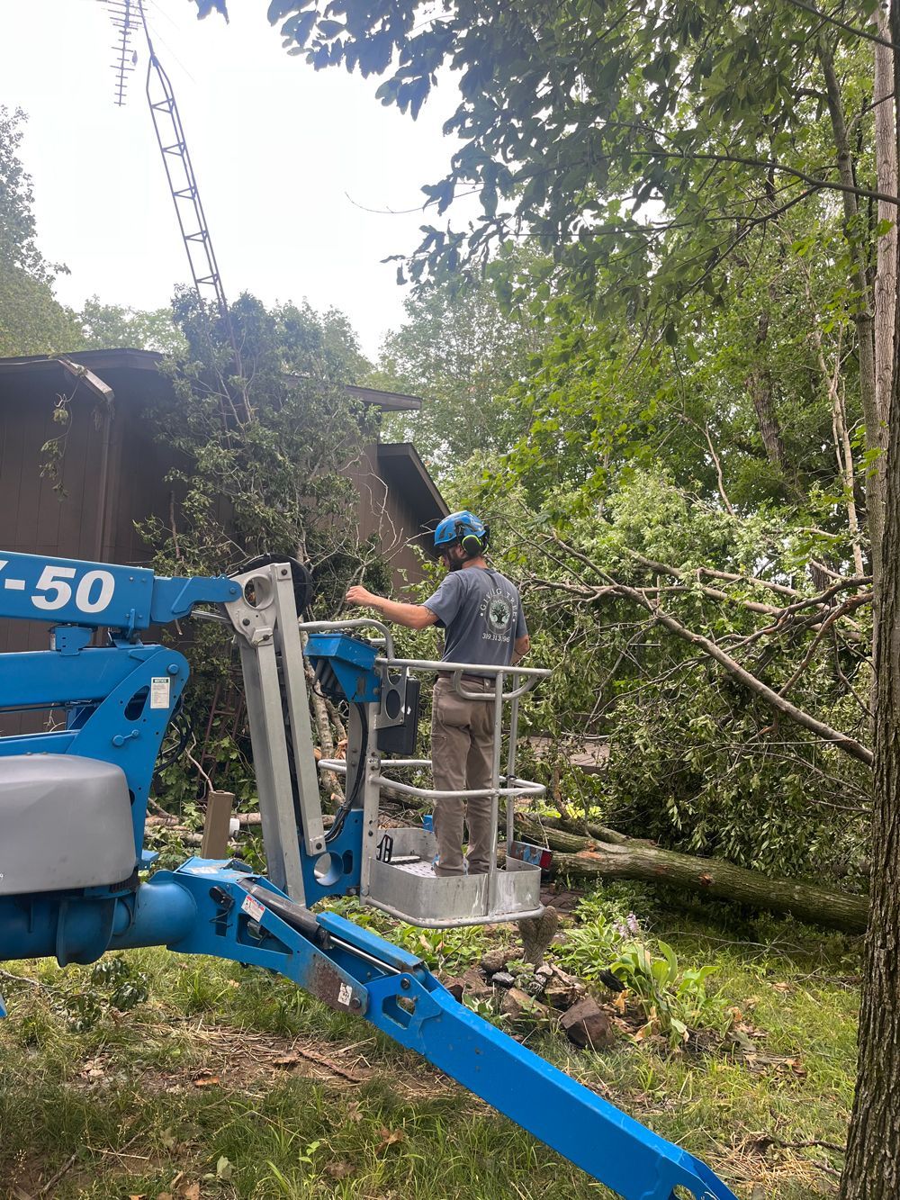 A man is standing in a bucket on a crane cutting a tree.