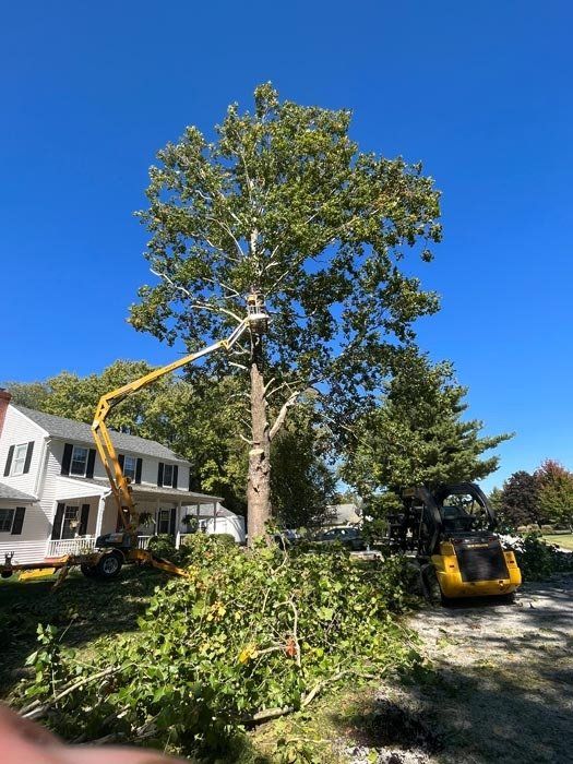 A tree is being cut down by a crane in front of a house.