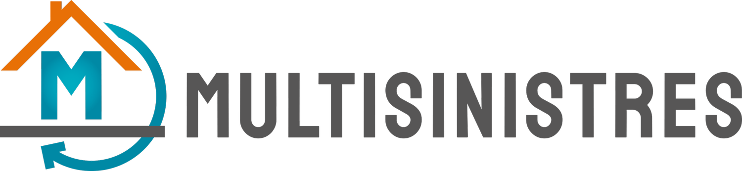 Multisinistres LOGO