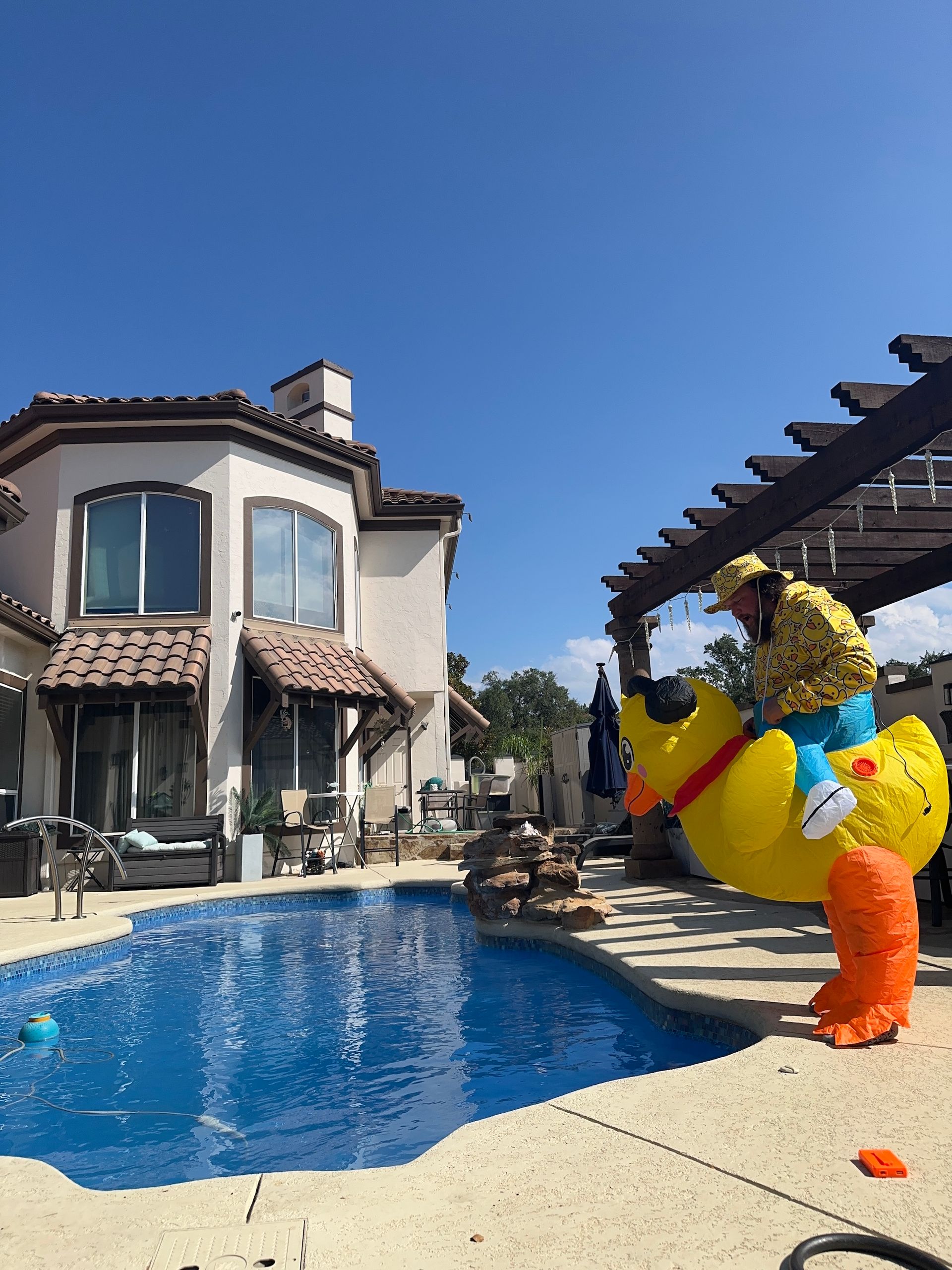 Backyard pool beside a stucco house, with a large colorful bird sculpture on the patio.