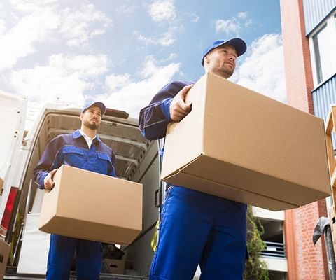Two Men Carrying Cardboard Box — Columbus, GA — Sanera Van Service Inc.