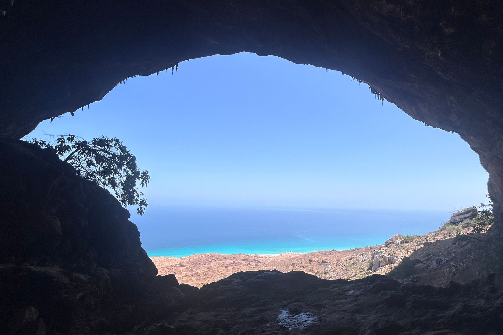 dragon-blood-trees-trekking-socotra