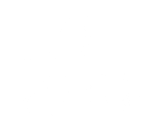 2025 carrier presidents award
