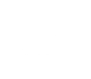 2025 carrier presidents award