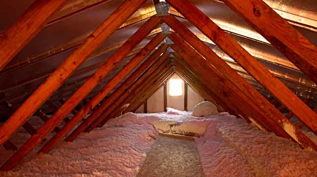 How To Get Rid Of Mice In Attic With Blown-in Insulation