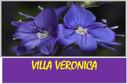 Villa Veronica - LOGO