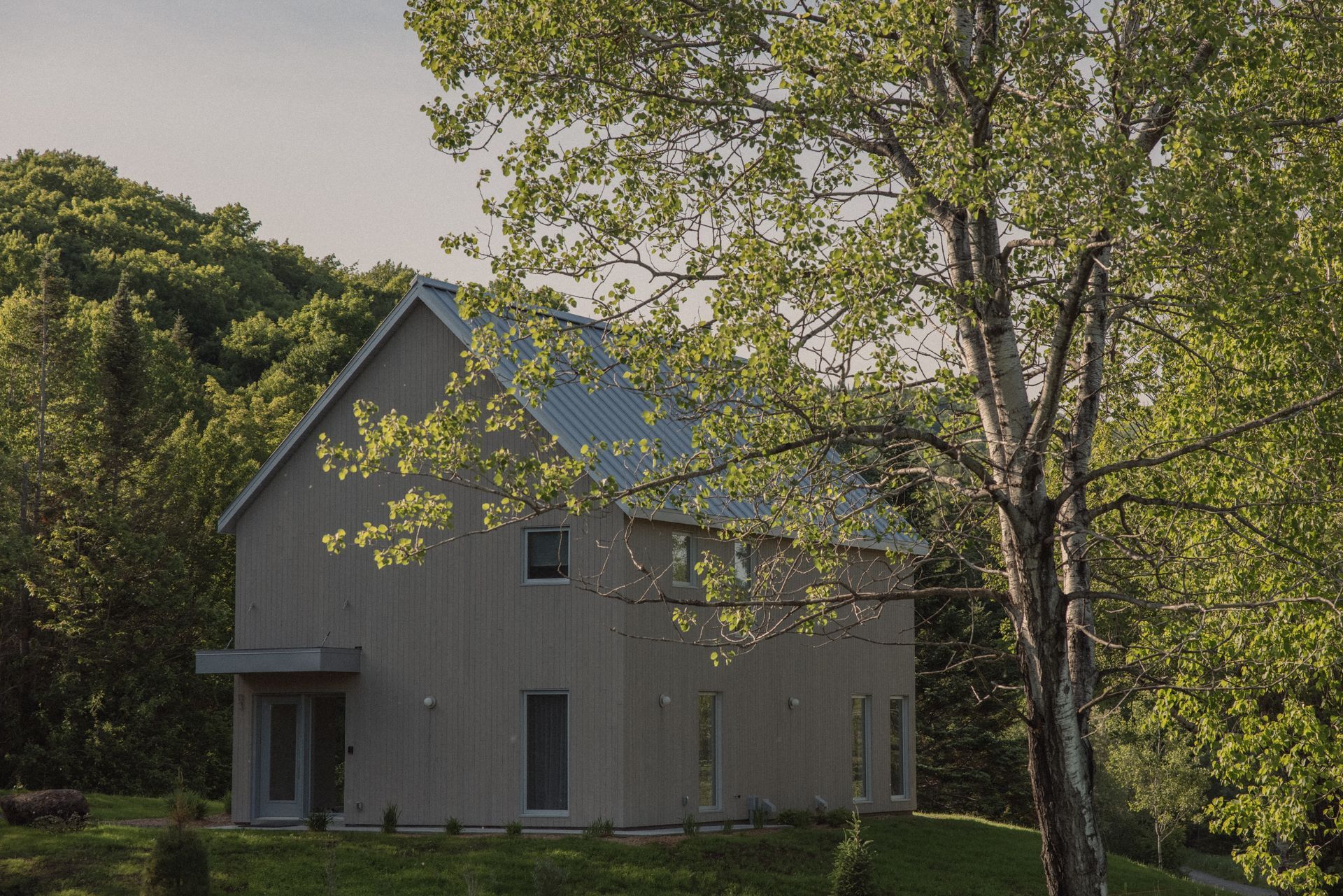 Une maison au milieu d'une forêt avec des arbres devant