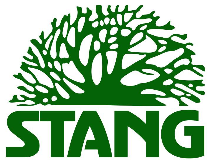 Stang Stang