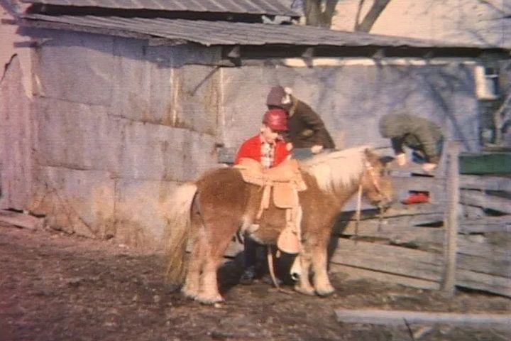 Kid And Donkey