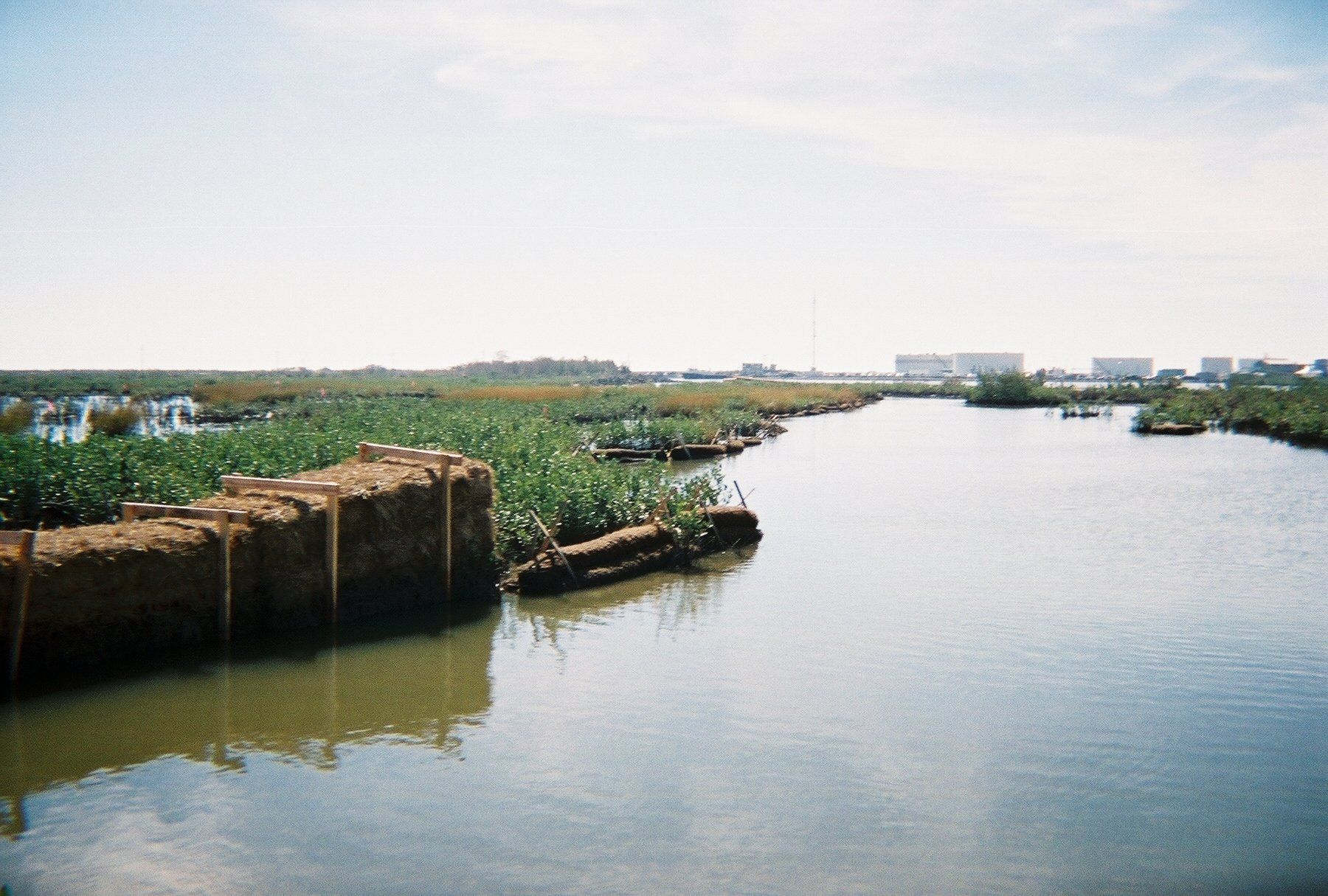 A river with a lot of trees on the side of it