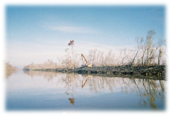 A reflection of trees in a lake with a blue sky in the background.