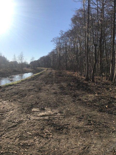 A dirt road going through a forest next to a river.