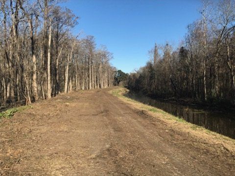 A dirt road going through a forest next to a body of water.
