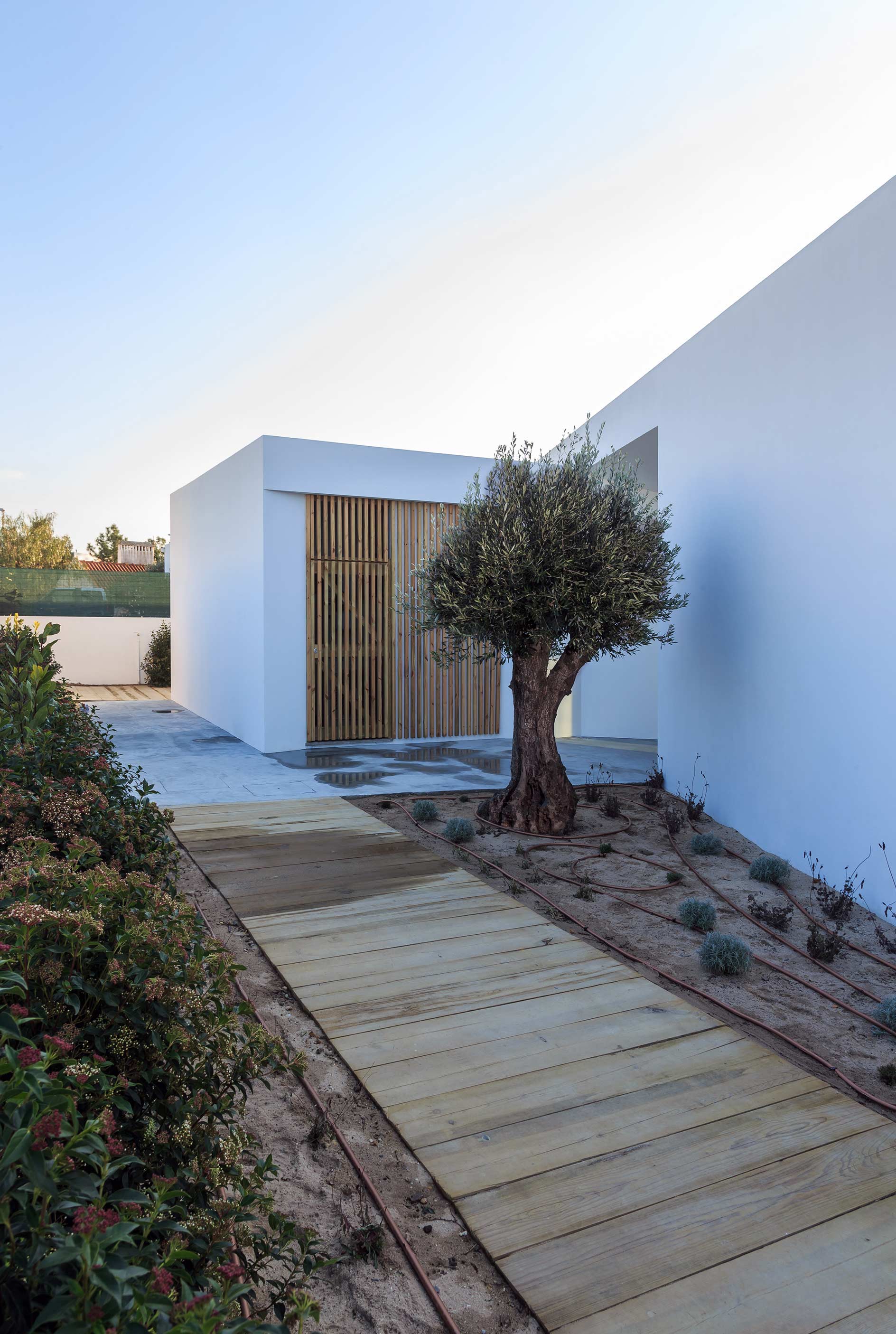 A wooden path leading to a white building with a tree in the background.