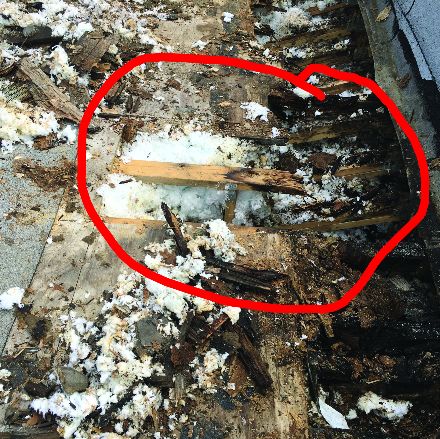 Failed, rotten roof trusses in water damaged roof system on WickRight customer's wet split face block building, Chicago