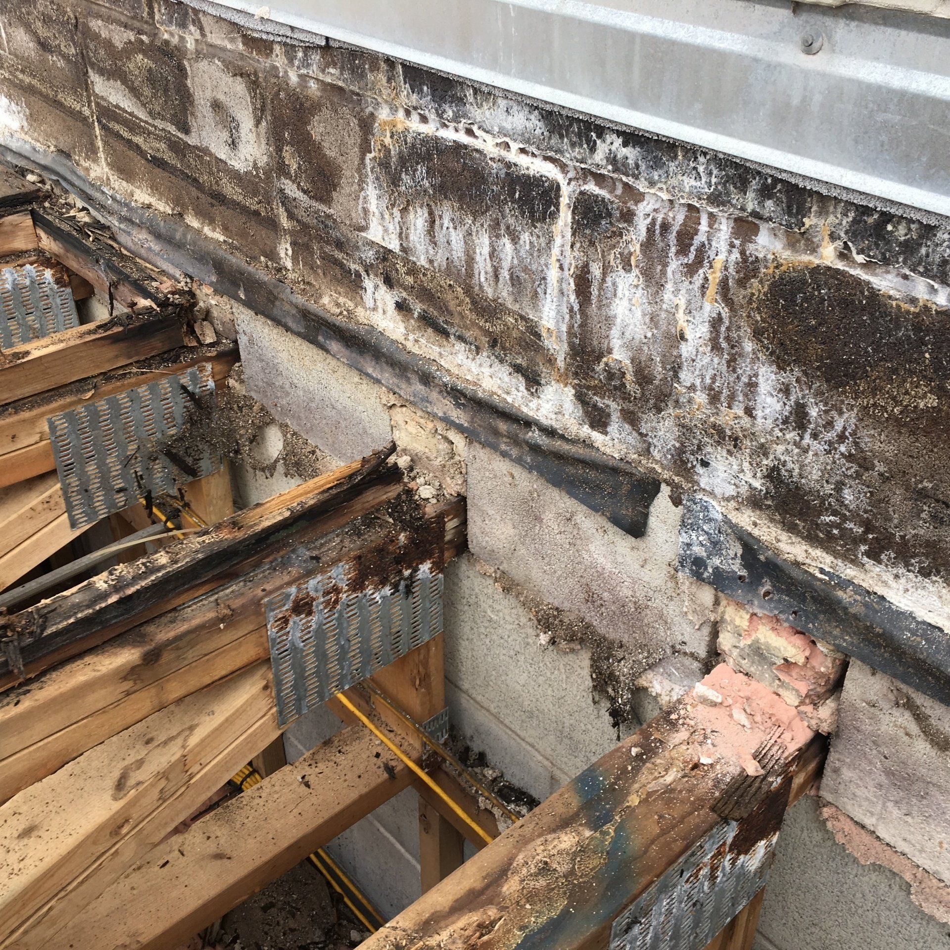 Rotting trusses embedded in wet split face block wall of WickRight customer in Uptown, Chicago