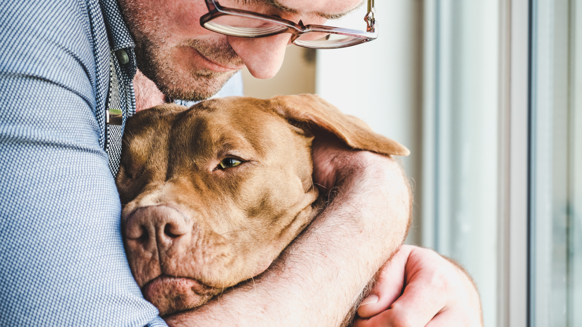 can a landlord refuse an emotional support dog based on breed