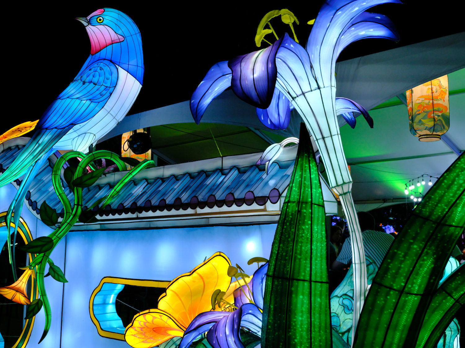 Brightly lit blue bird perched on vines near blue and yellow flowers, part of a nighttime lantern display.
