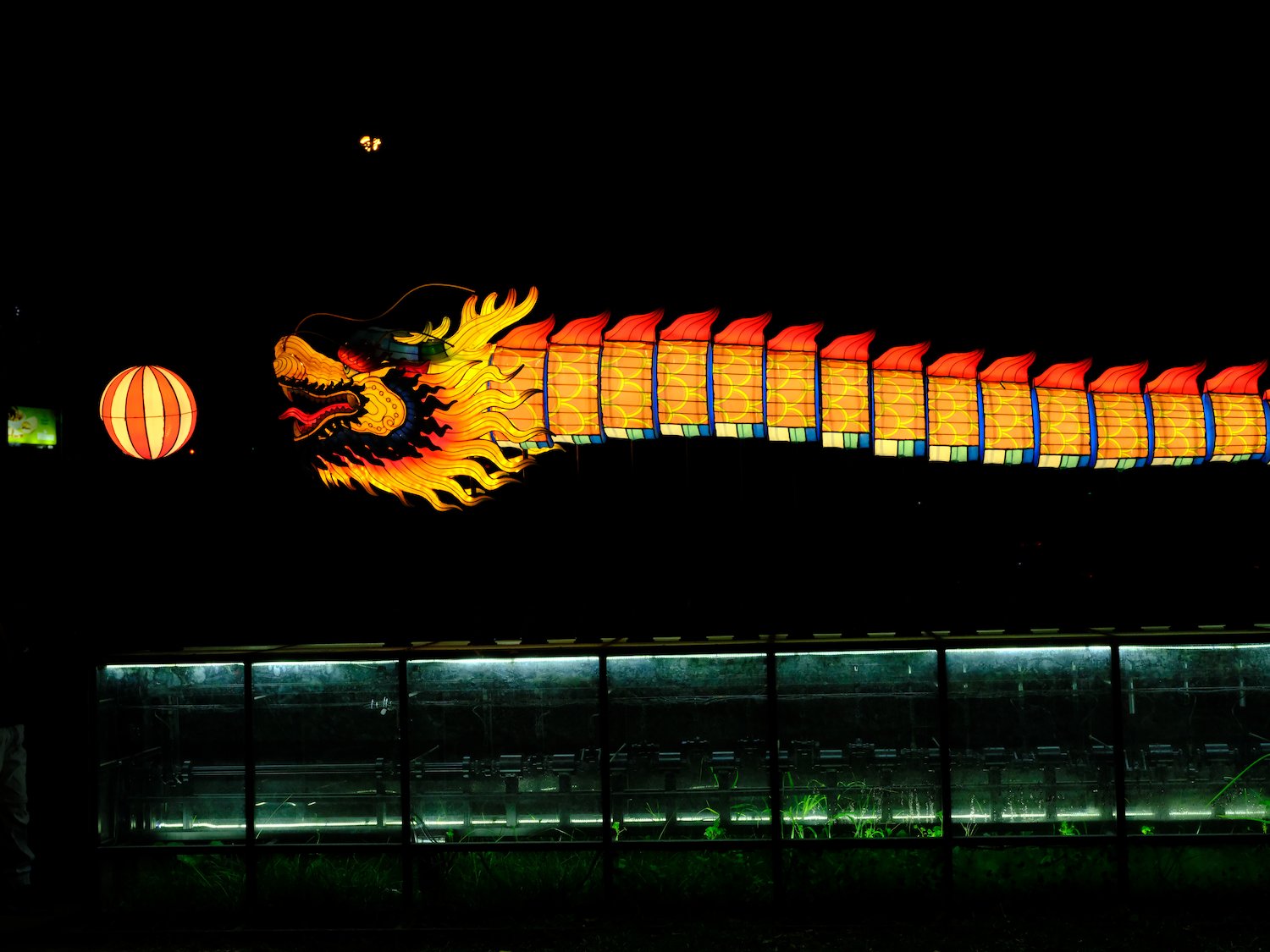 Illuminated dragon lantern floats above water, part of a nighttime festival.