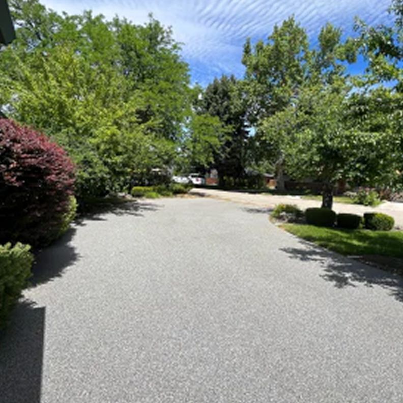 A driveway surrounded by trees and bushes on a sunny day