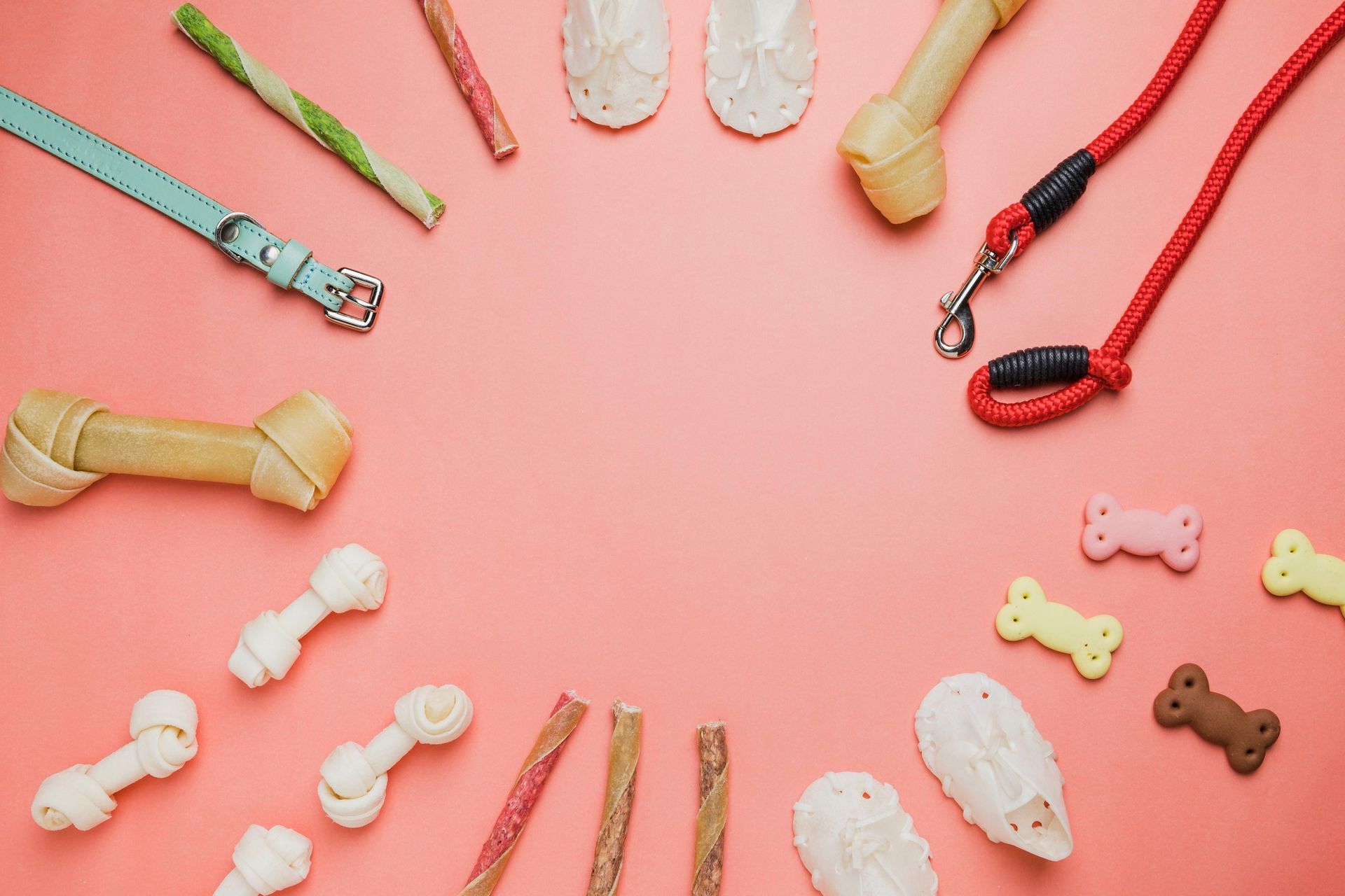 Golosinas para perros, correa, collar dispuestos sobre fondo rosa.