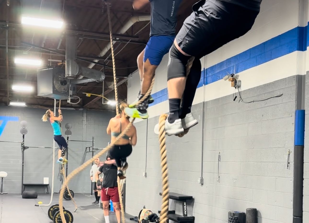 A group of people are climbing ropes in a gym.
