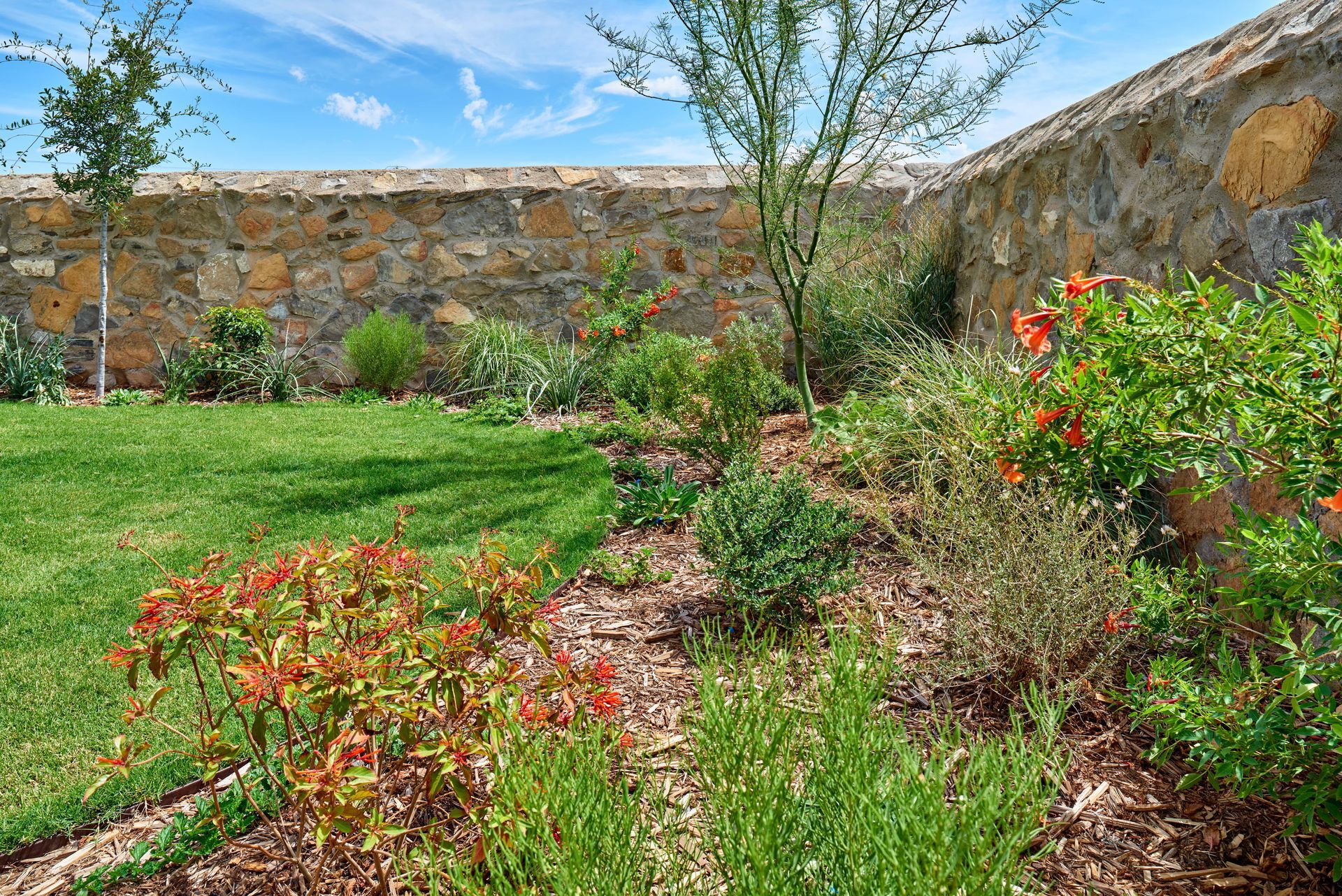Lush garden bed with red and green plants, bordering a stone wall and green lawn under a blue sky.