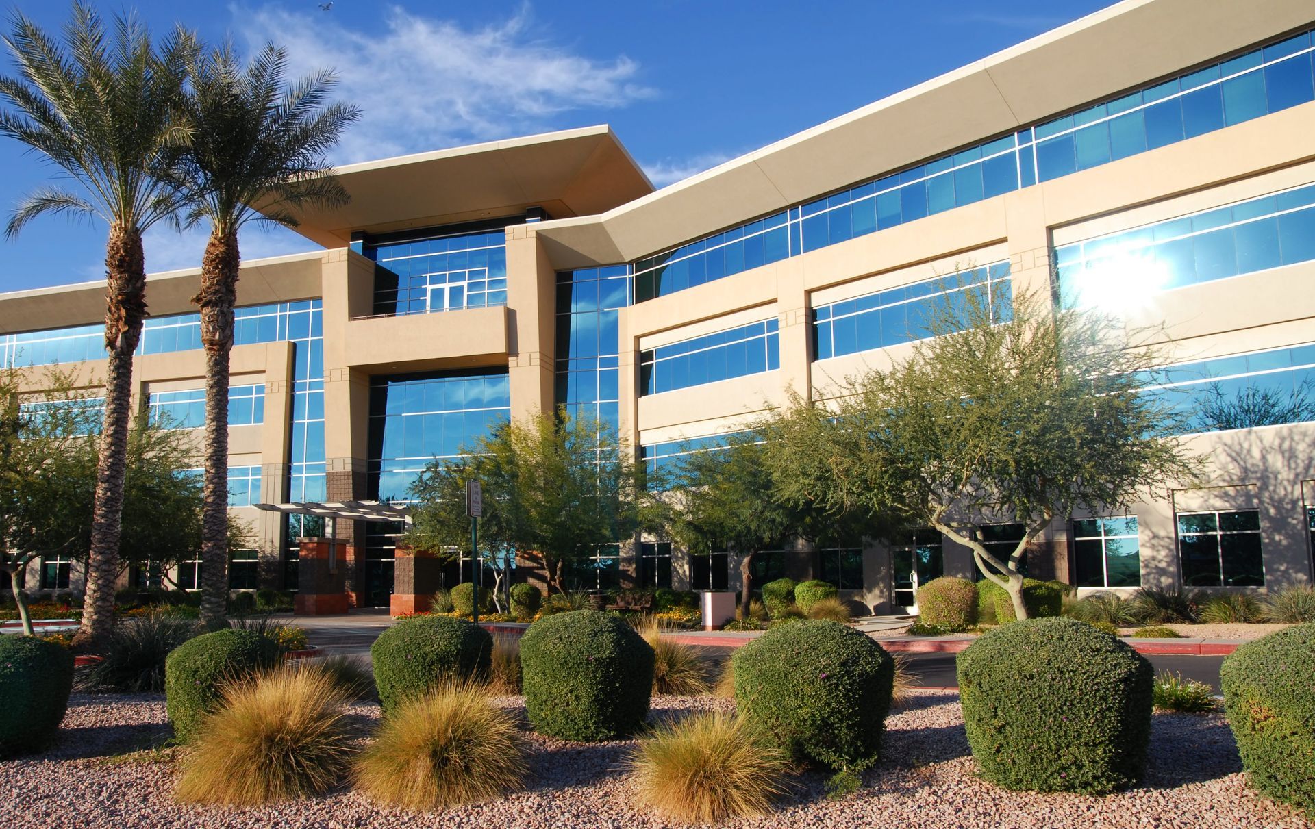 Modern, tan-colored office building with glass windows; palm trees and manicured bushes in foreground.