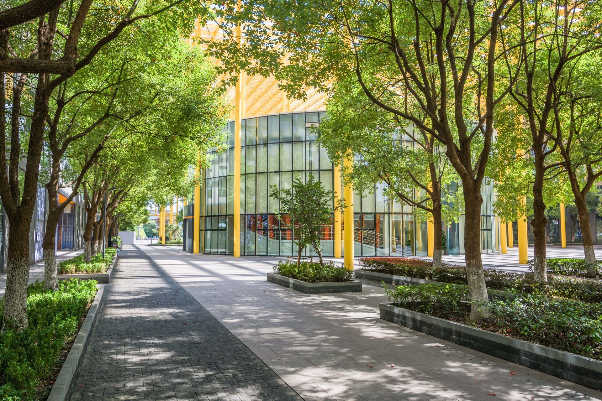 Pathway lined with trees leads to a modern building with yellow accents and large windows.