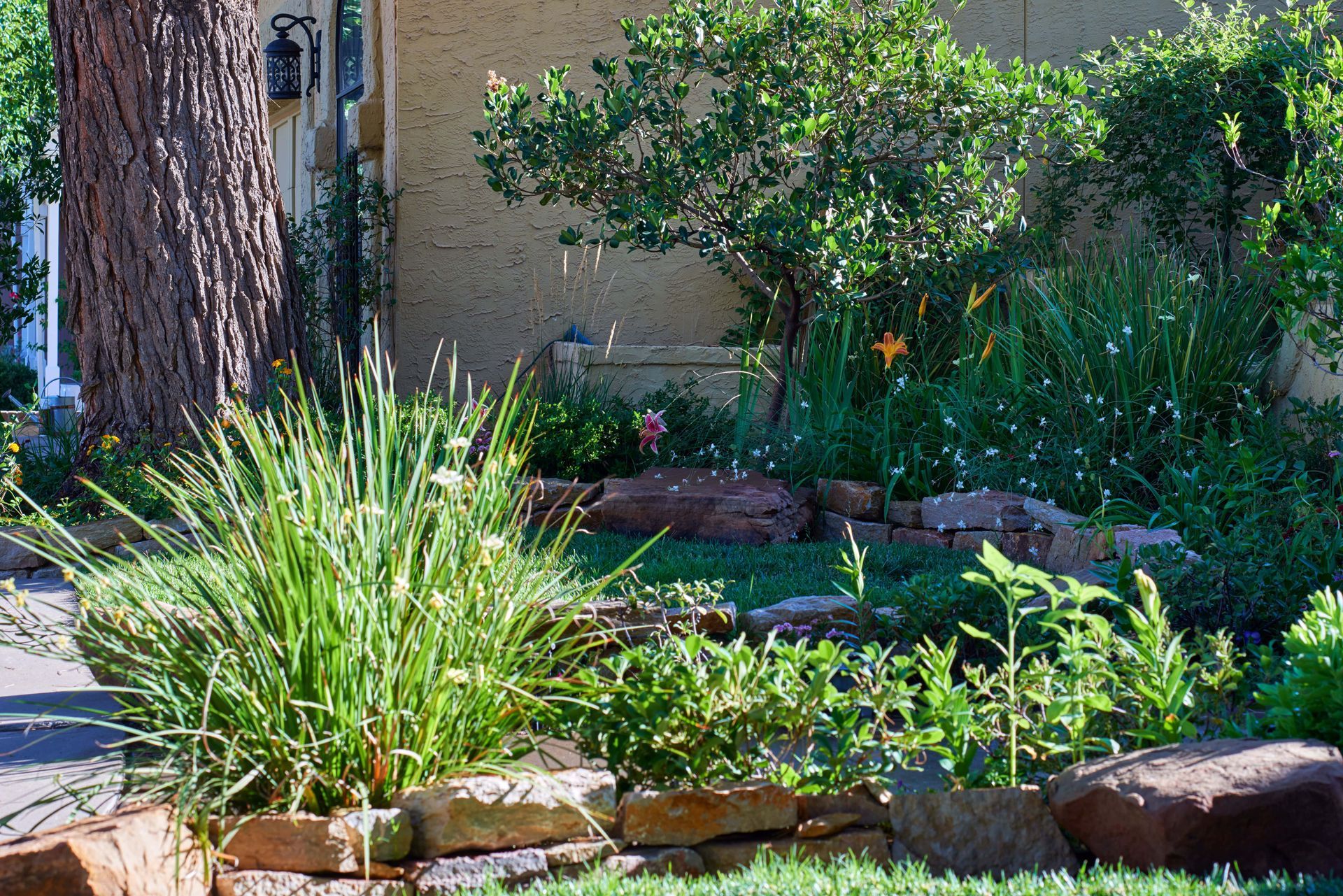 Green garden with plants and flowers, brick border, and a tree.