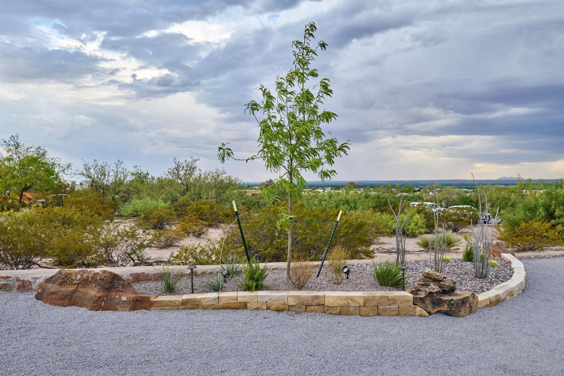 A young tree supported by stakes stands in a gravel bed next to a low stone retaining wall, with a view of cloudy sky and distant landscape.