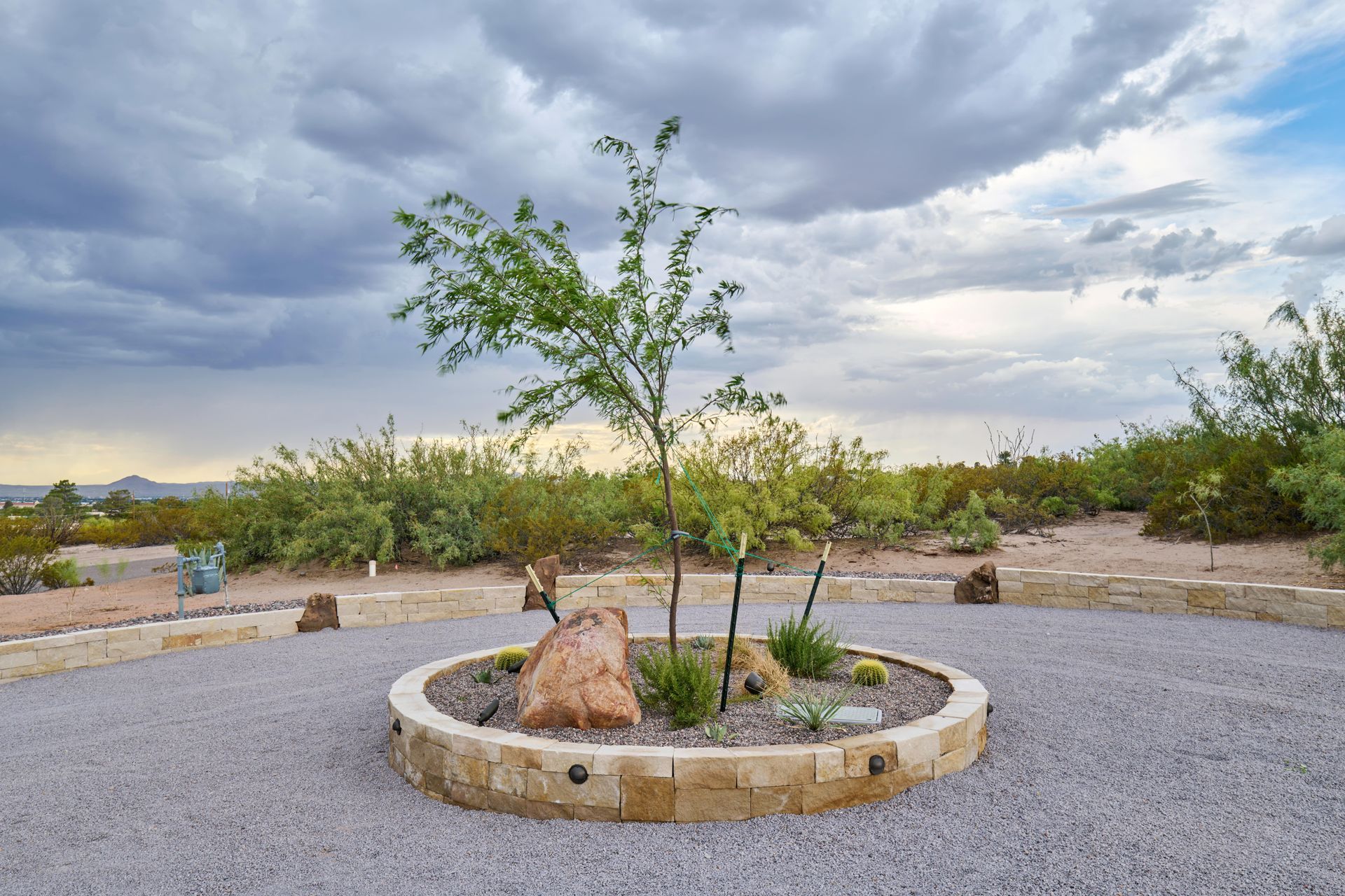 Tree and plants in a circular stone bed, surrounded by gravel, under a cloudy sky.