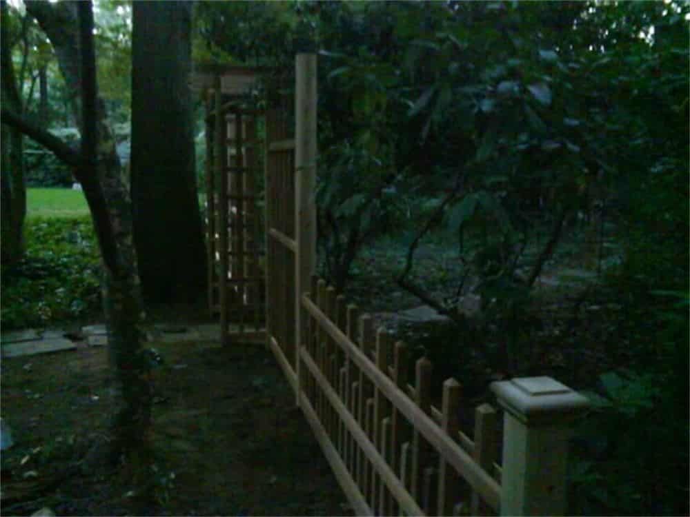 Wooden fence and arbor in a garden, with dark green foliage and a tree in the background.
