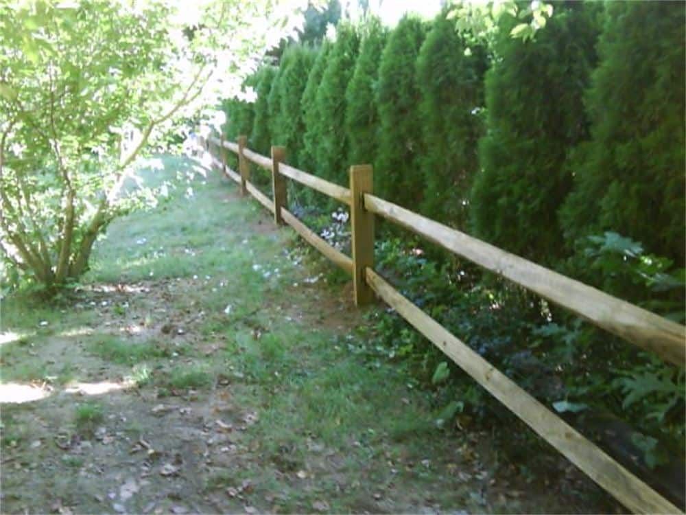 Wooden split-rail fence alongside a row of green evergreen trees. Sunny, outdoor setting.