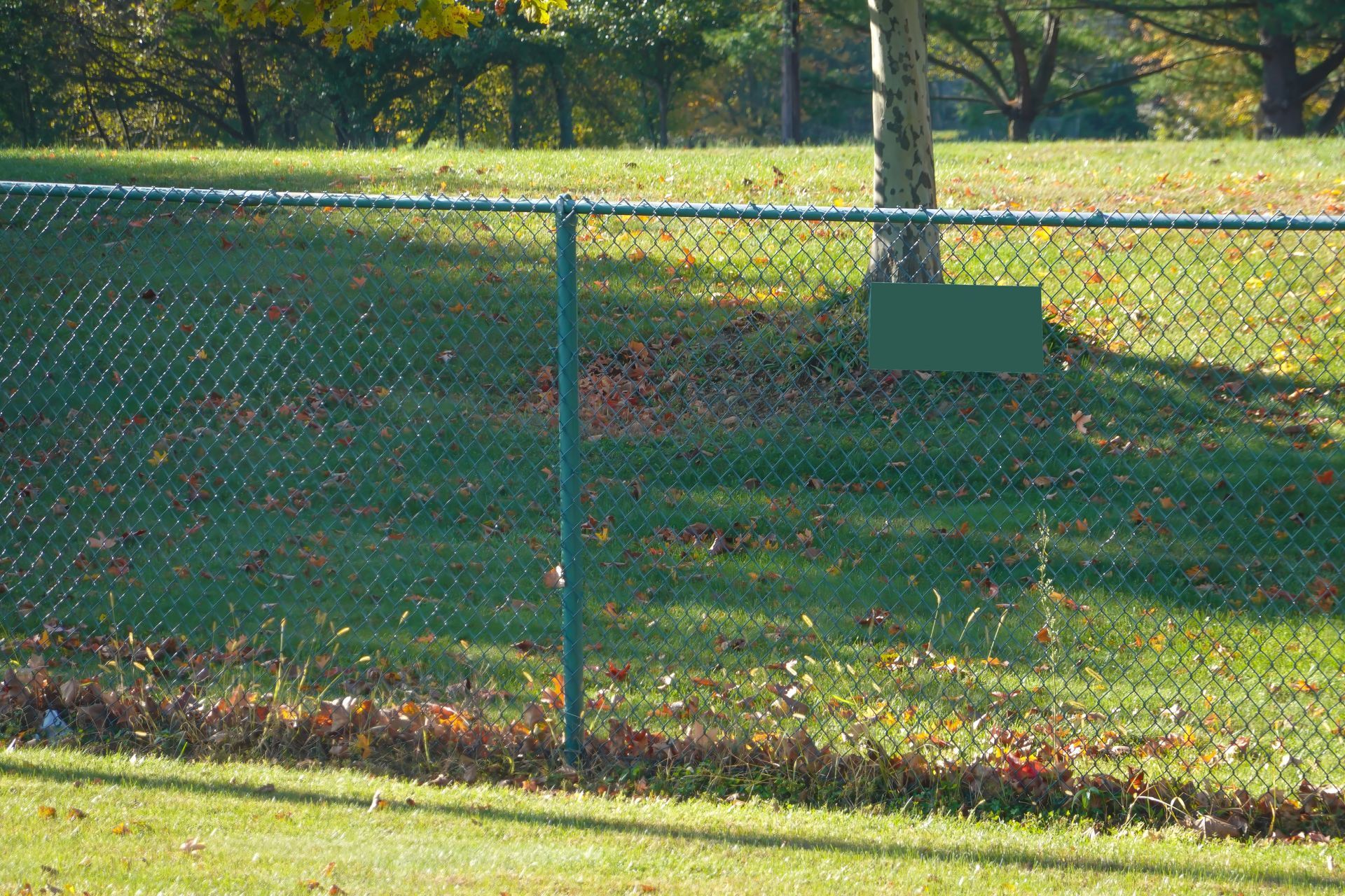 Green chain-link fence on a grassy hill, with a tree in the background. Autumn leaves are scattered on the ground.