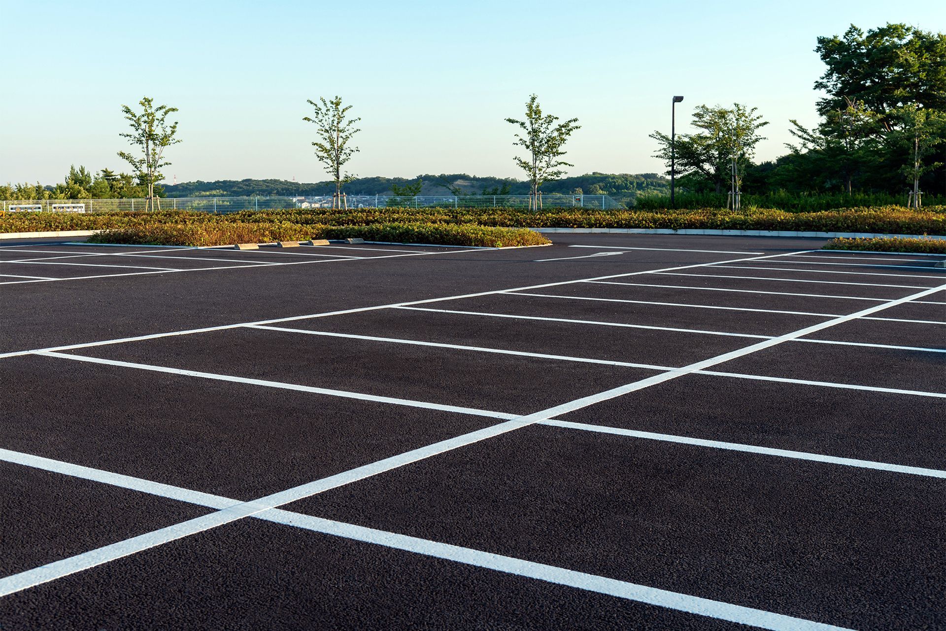 Empty asphalt parking lot with white painted parking space lines; trees and shrubs in the background.
