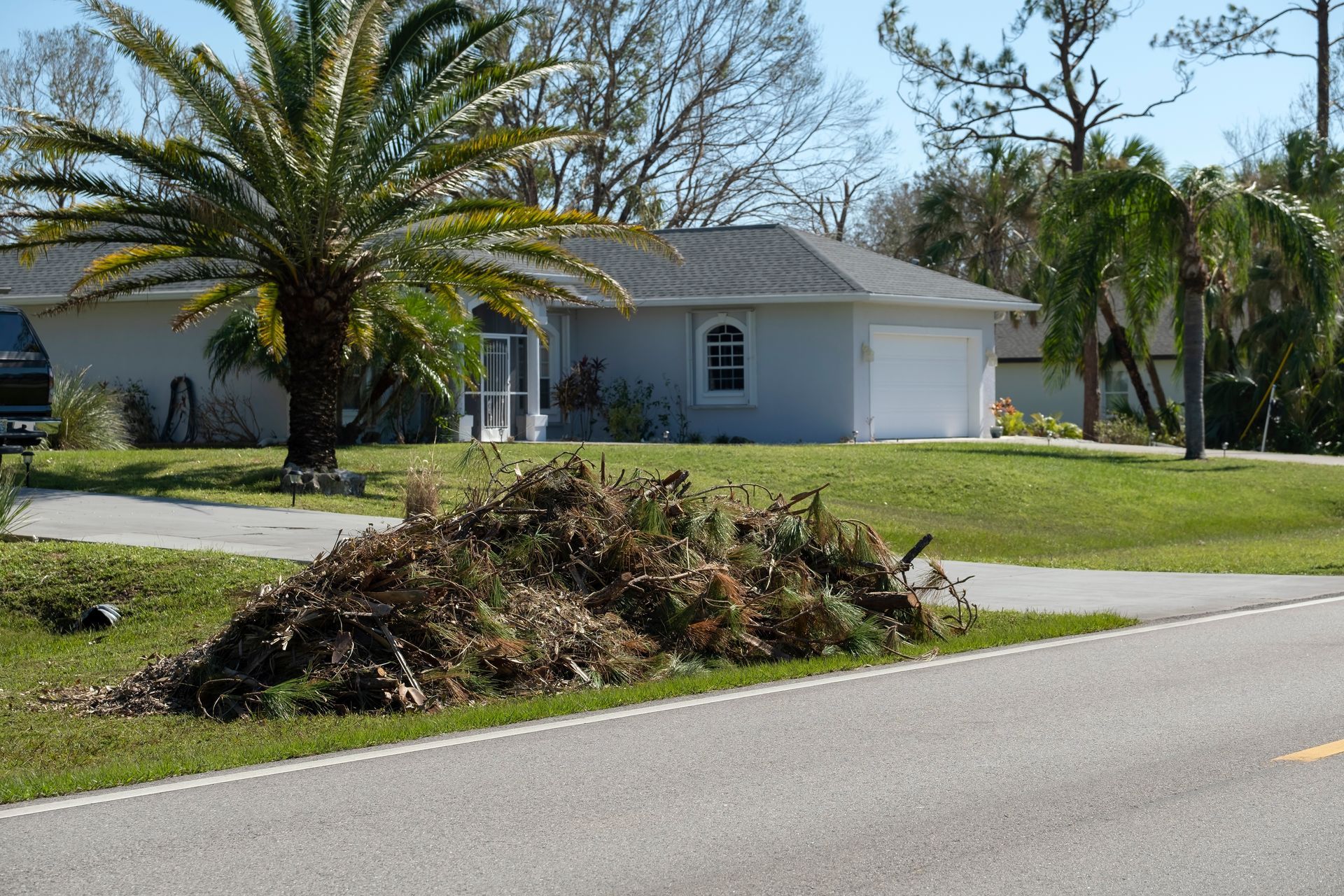 A white house with a palm tree in front of it