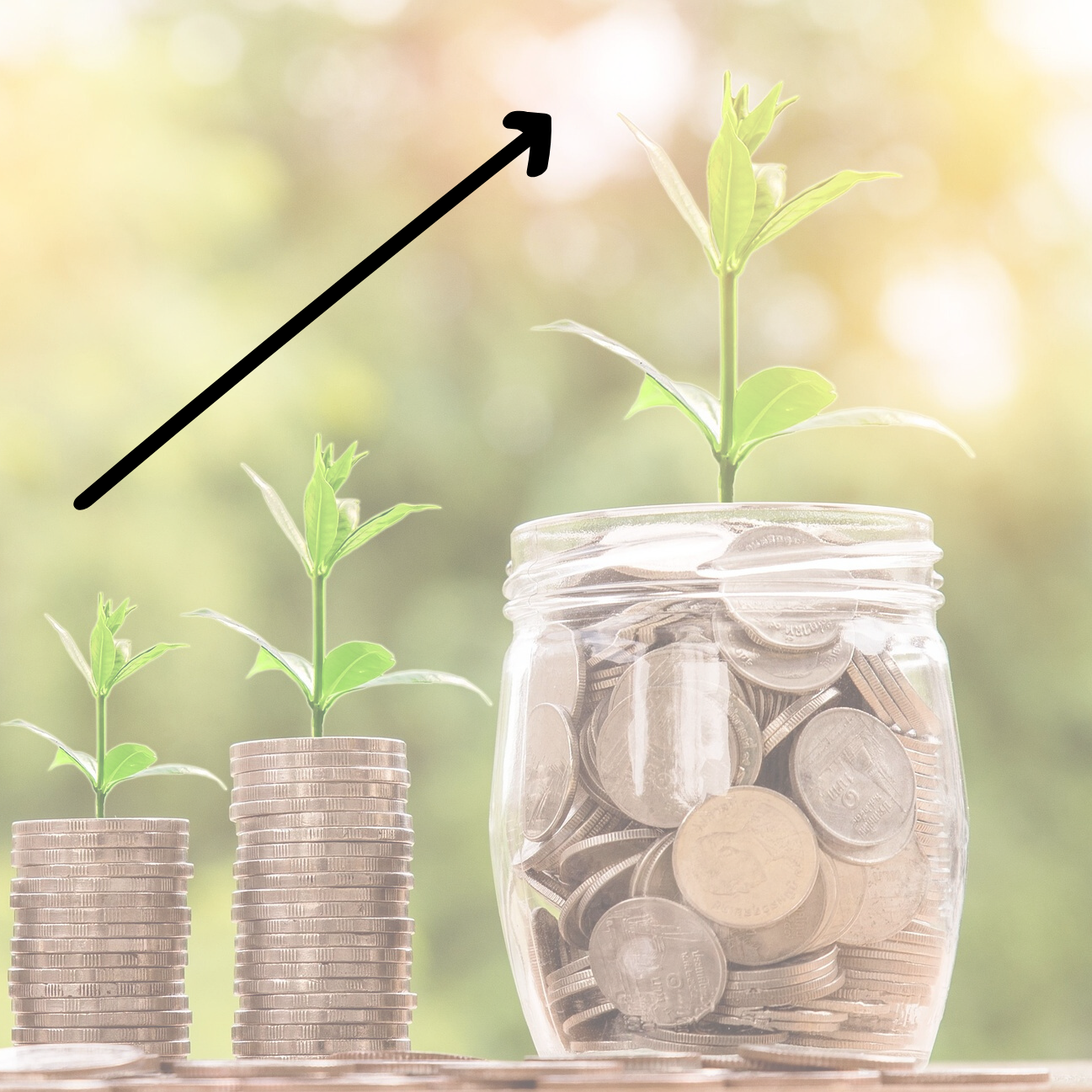 Una planta está creciendo en un frasco de monedas.