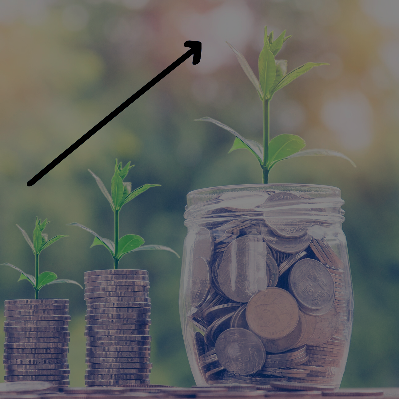 Una planta está creciendo en un frasco de monedas.