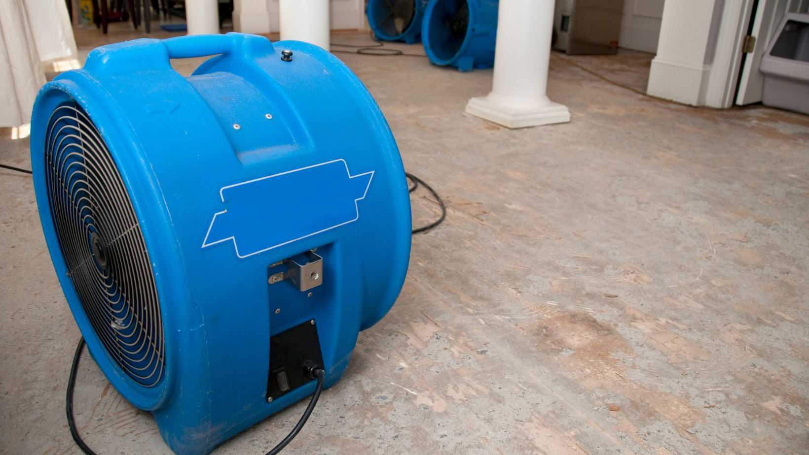 water mitigation fan