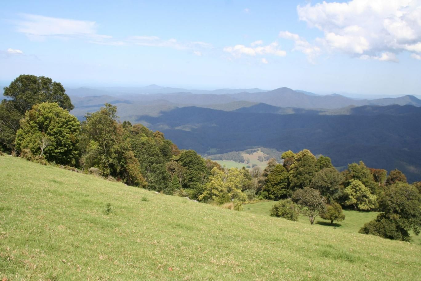 A Grassy Hillside with Trees and Mountains — Nick Locke Monuments in Dorrigo, NSW