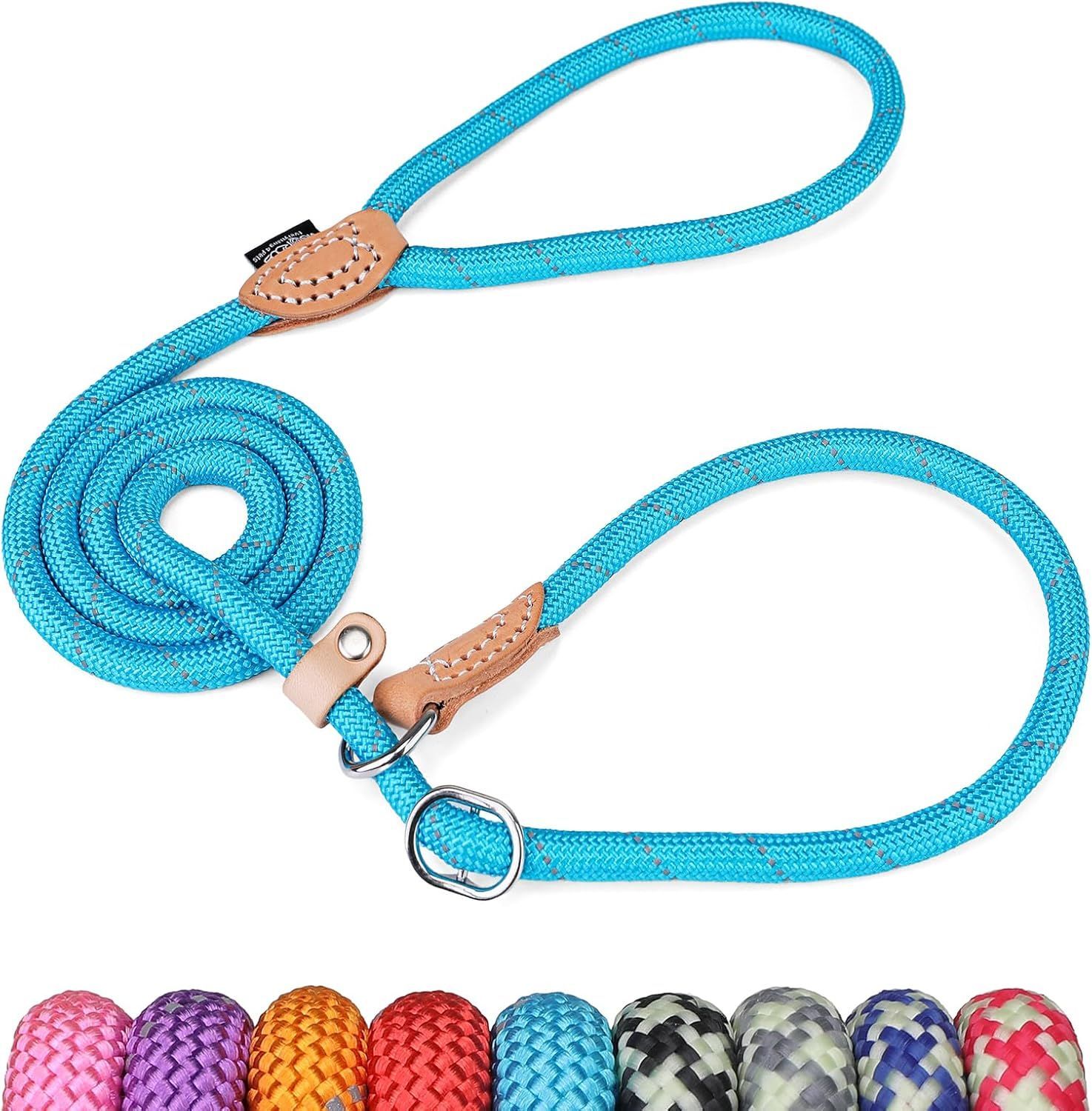 Blue dog leash with handle and loop, leather accents, and a selection of colored leashes below.