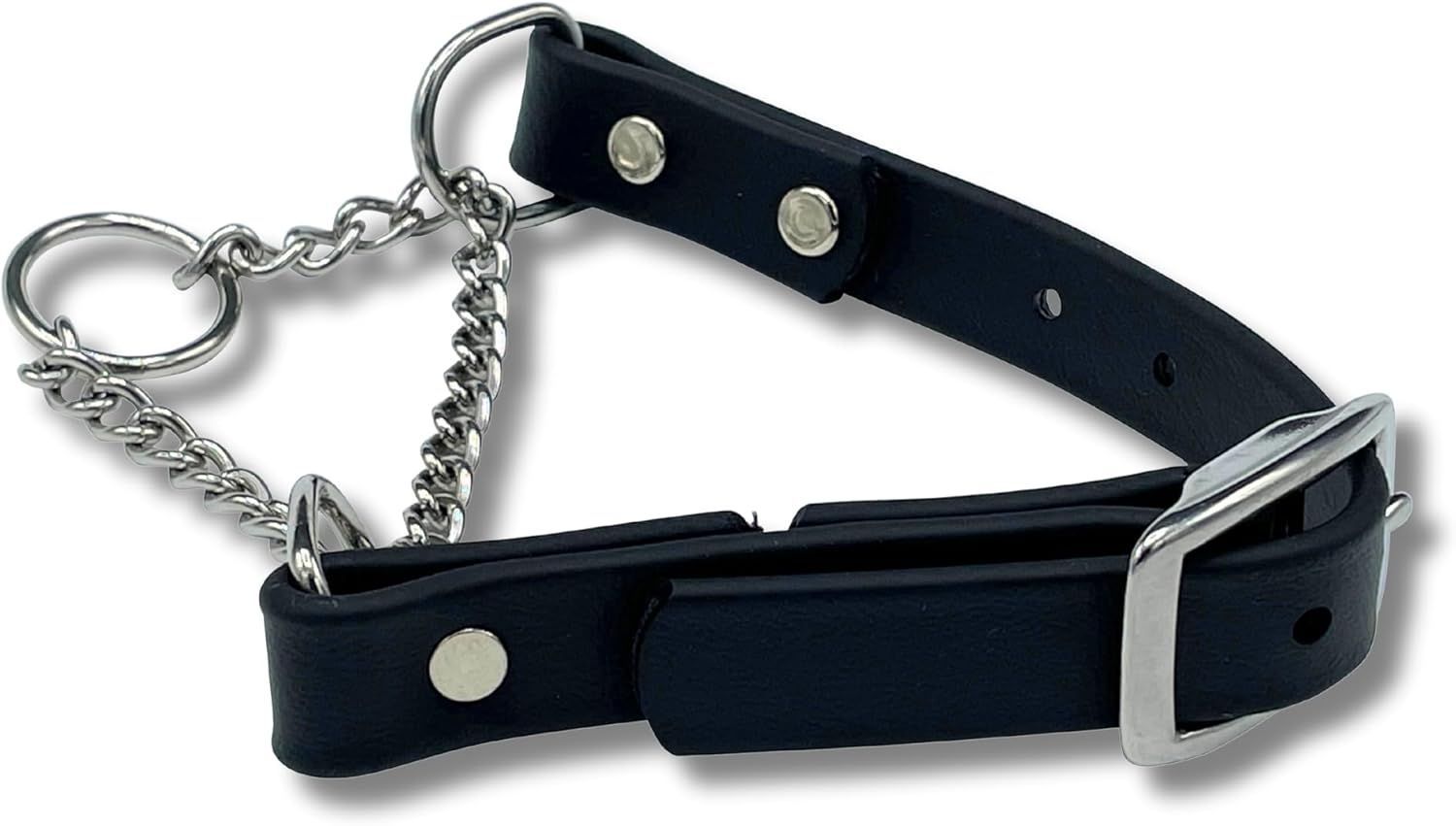 Black leather dog collar with metal chain and buckle.