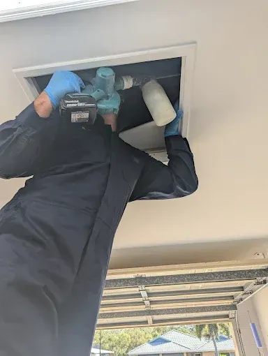 Person Spraying Insecticides for Pest Control — Total Pest and Carpet Cleaning in Yeppoon, QLD