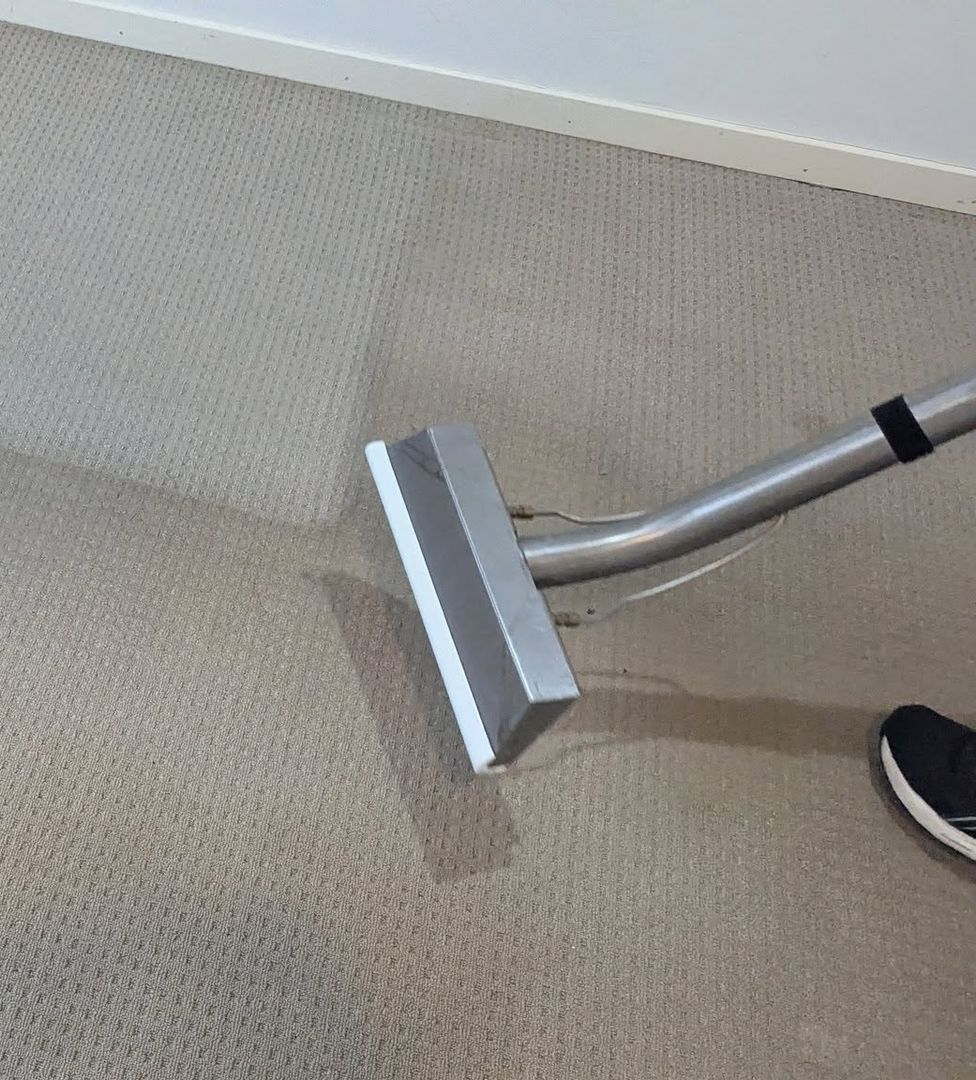 Carpet Being Cleaned with A Machine — Total Pest and Carpet Cleaning in Yeppoon, QLD