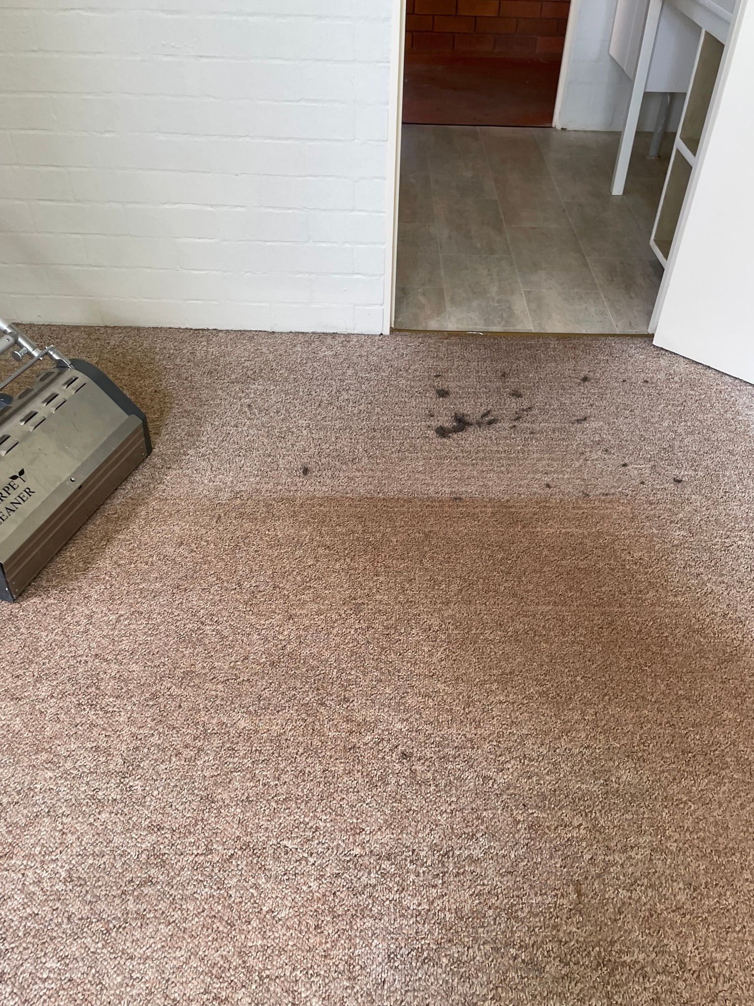 Beige Speckled Carpet with Cleaning Machine — Total Pest and Carpet Cleaning in Yeppoon, QLD