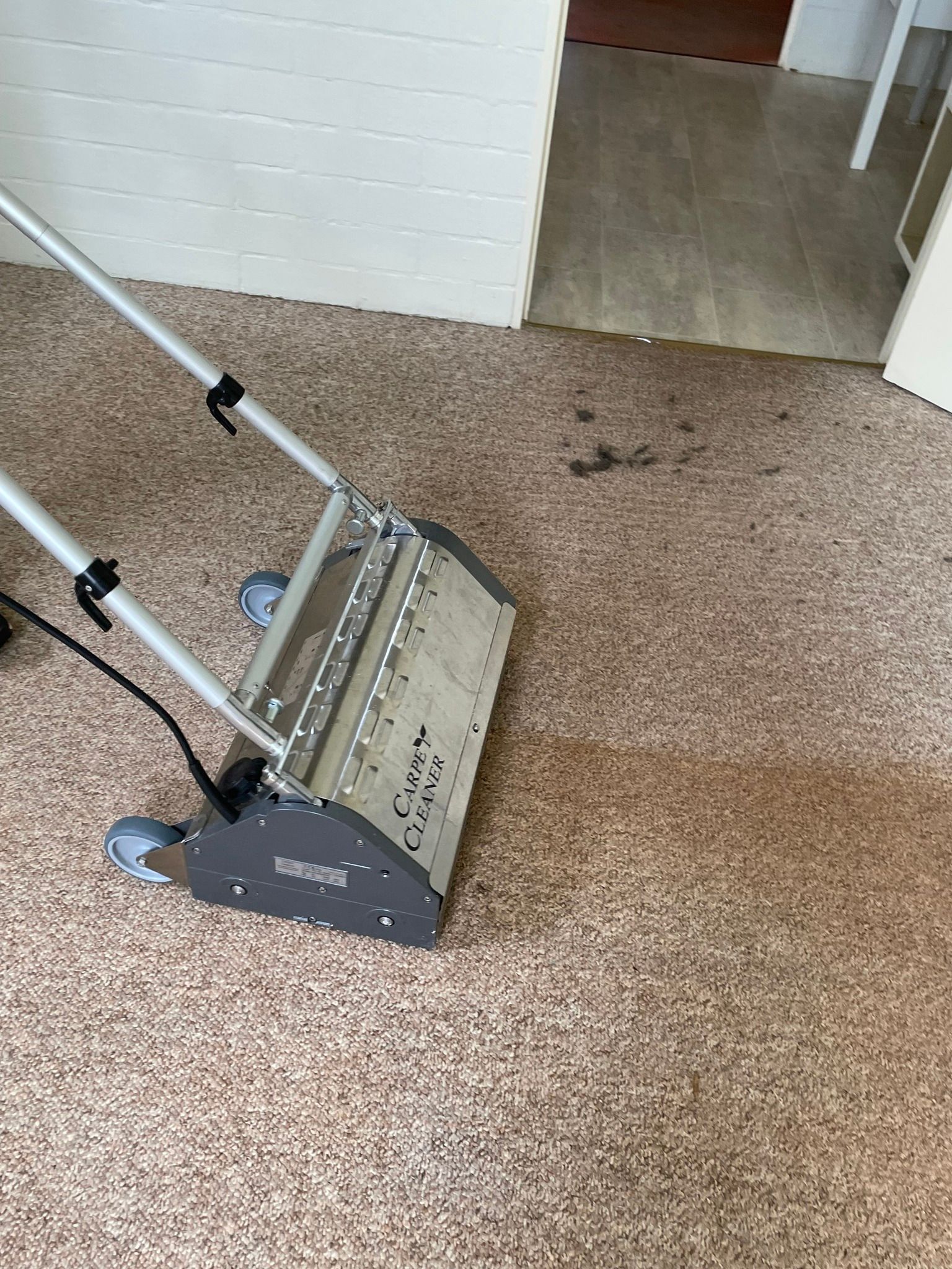 Carpet Cleaner on Speckled Carpet, Near a Doorway and White Wall — Total Pest and Carpet Cleaning in Yeppoon, QLD