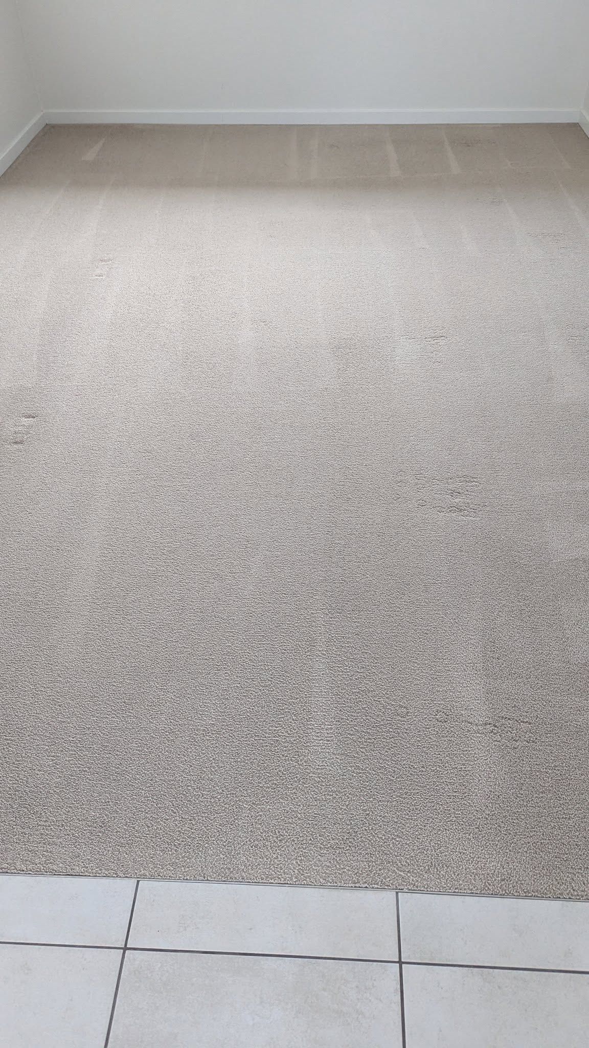 Beige Carpet Covering a Room Floor, with A White Wall — Total Pest and Carpet Cleaning in Yeppoon, QLD