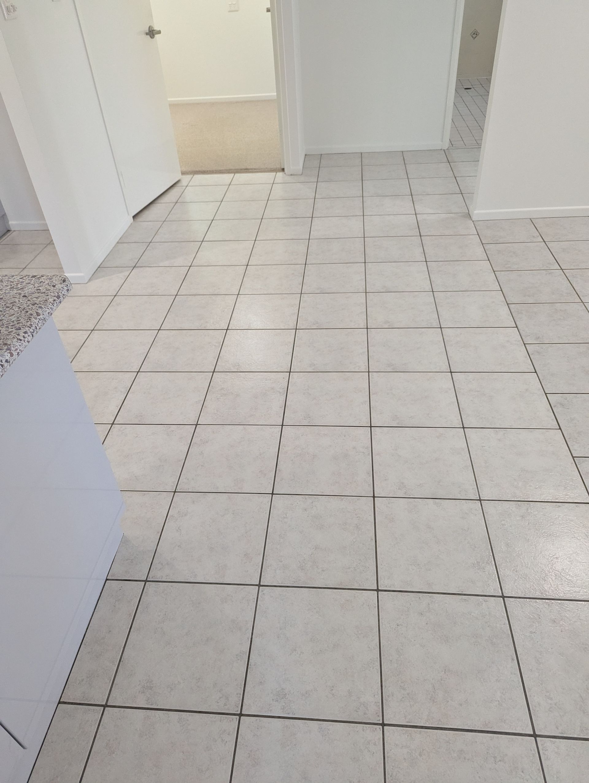 A Person is Using a Machine to Clean the Floor — Total Pest and Carpet Cleaning in Kinka Beach, QLD